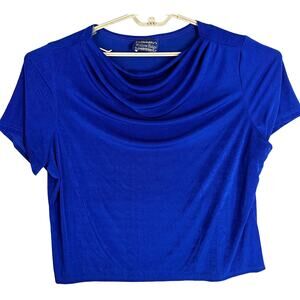 Vintage Willow Ridge Blouse Plus 2X Blue Short Sleeve Scoop Neck Made In USA